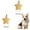 Gold#621, variant on RuiJiao Dog Pet Stainless Steel Engraved Lettering Loss Tag