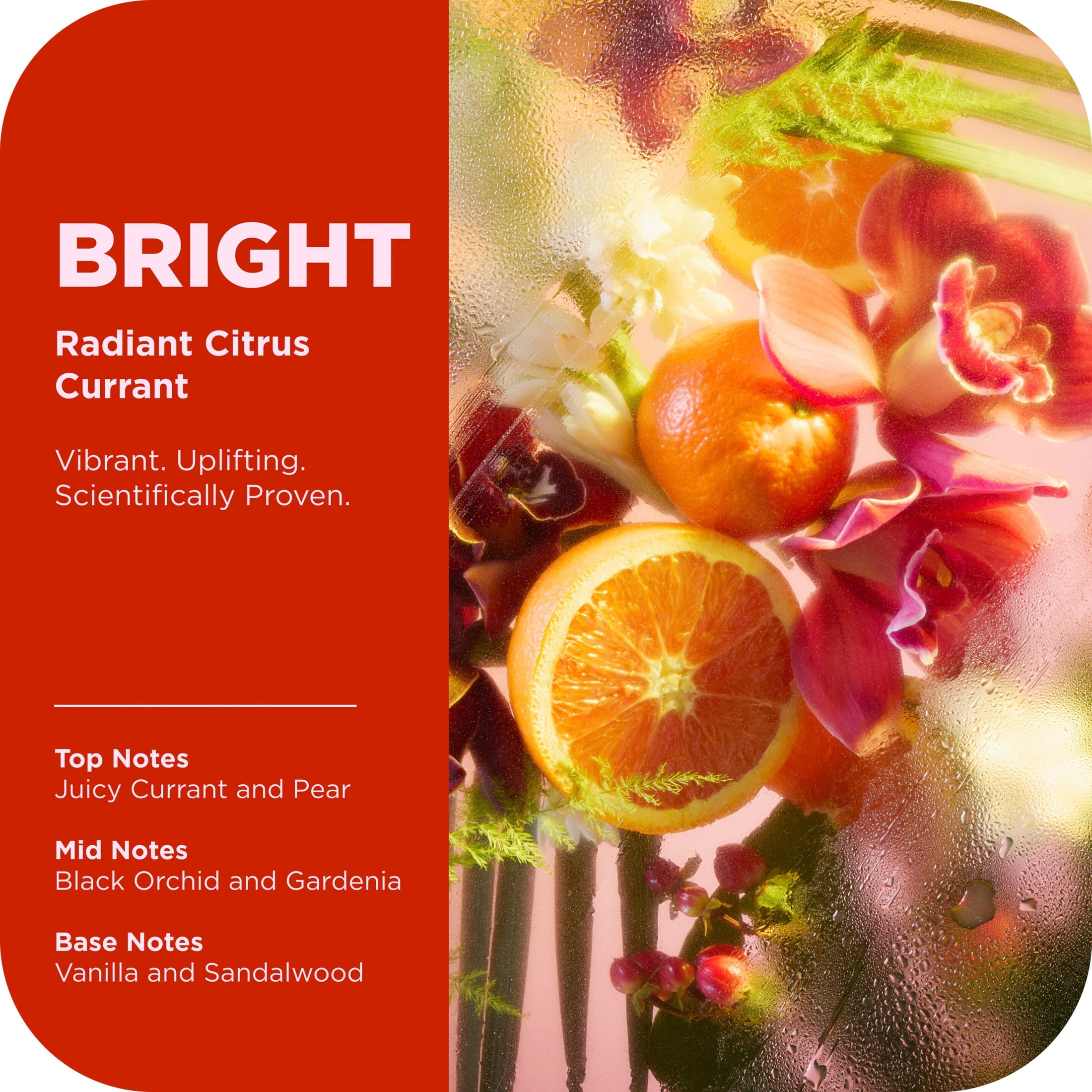 (4 pack) OLLY Body Wash Bright With Vitamin C ,17 fl oz