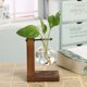 thumbnail image 1 of Florero de vidrio simple y creativo florero marco de madera florero hidropónico planta de eneldo verde florero transparente decoración de escritorio, 13.5 * 10 cm XianweiShao 8390606042408, 1 of 1