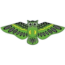 RUIG Cartoon Kites for Kids, Beautiful Kite Easy to Fly for Beginners, Easy to Fly for Beach Trip and Outdoor Activities, Educational Gift for Boys Girls Kids