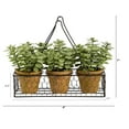 thumbnail image 2 of Nearly Natural 7" Mini Jade Garden Artificial Plant in Hanging Planter, 2 of 4