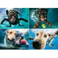 thumbnail image 2 of Underwater Dogs: Splash 1000 Piece Puzzle, 2 of 2