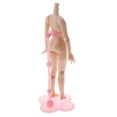 thumbnail image 4 of Soporte para muñecas Zulema 1/6 Blythe Color rosa, 4 of 7