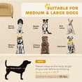 thumbnail image 3 of PawHut Pearl Design Pet Sofa for Medium and Large Sized Dogs, Pet Bed with Cushion and Solid Wood Legs, Coffee, 3 of 9
