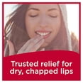 thumbnail image 5 of Bálsamo labial Carmex Fresh Cherry SPF15 10 ml (paquete de 12), 5 of 5