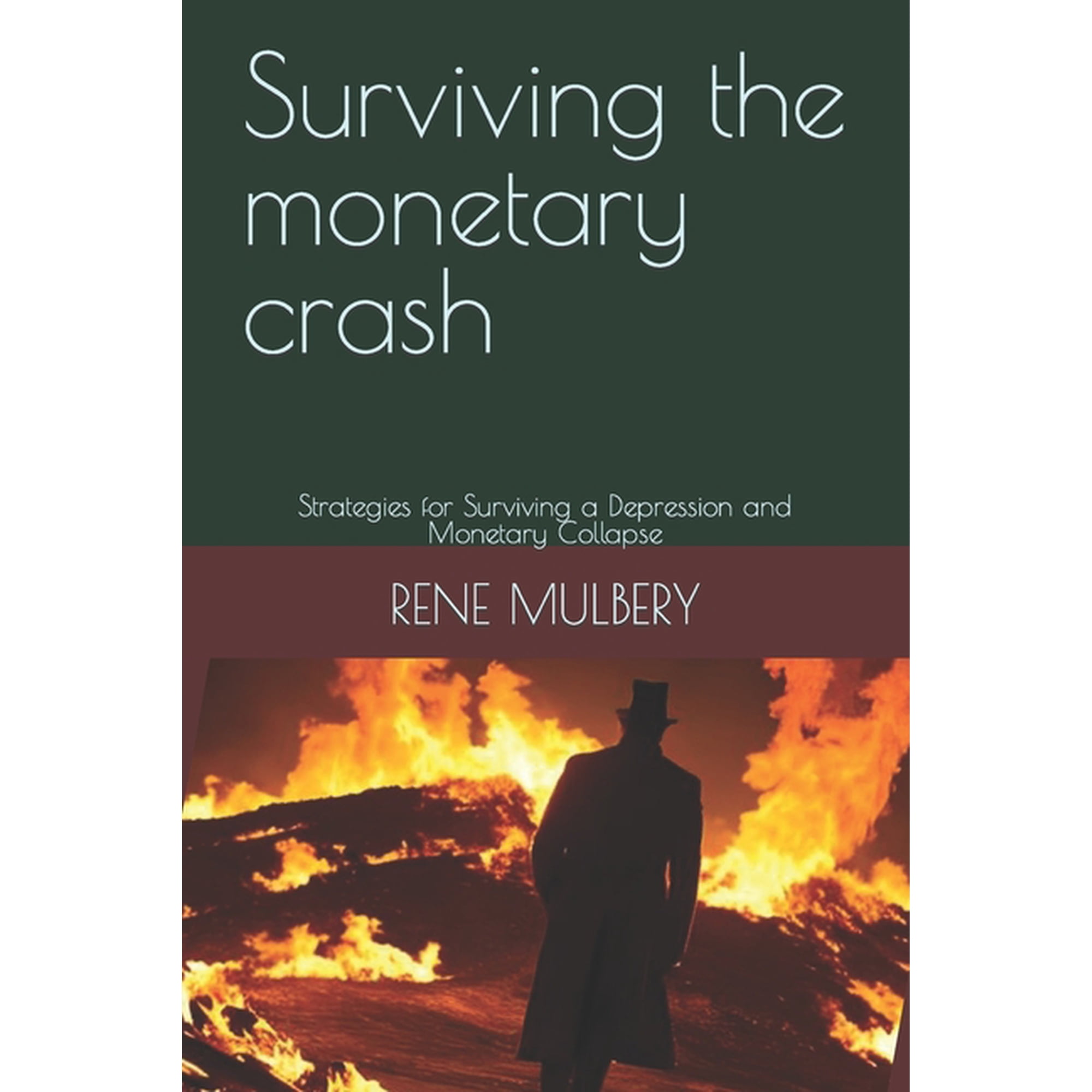 Surviving the monetary crash: Strategies for Surviving a Depression and Monetary Collapse (Paperback)
