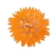 thumbnail image 1 of Mordedera Pelota Plastico 55Mm GIMEX NTC2509, 1 of 1