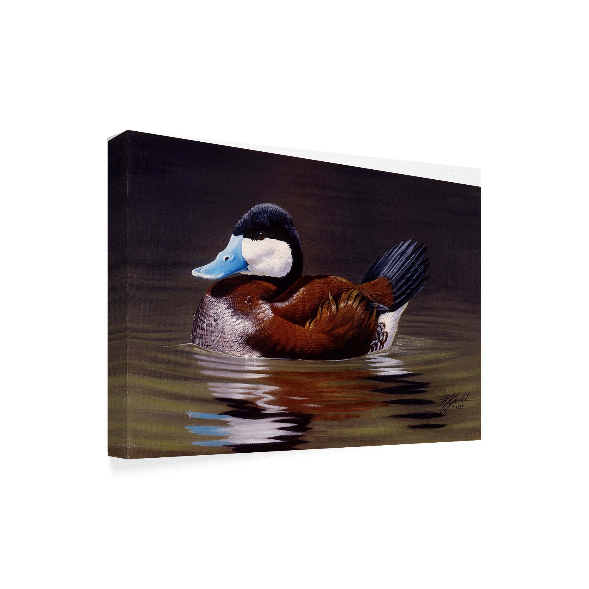 Trademark Fine Art 'Ruddy Duck' Canvas Art by Wilhelm Goebel