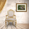 thumbnail image 3 of Luo, Donald 32x23 Gold Ornate Wood Framed with Double Matting Museum Art Print Titled - Osprey With Catch, 3 of 4
