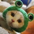 thumbnail image 2 of Pet Hat Creative Shape Tear-resistant Woolen Yarn Cat Decorative Frog Hat Pet Photography Costume for Home, 2 of 8