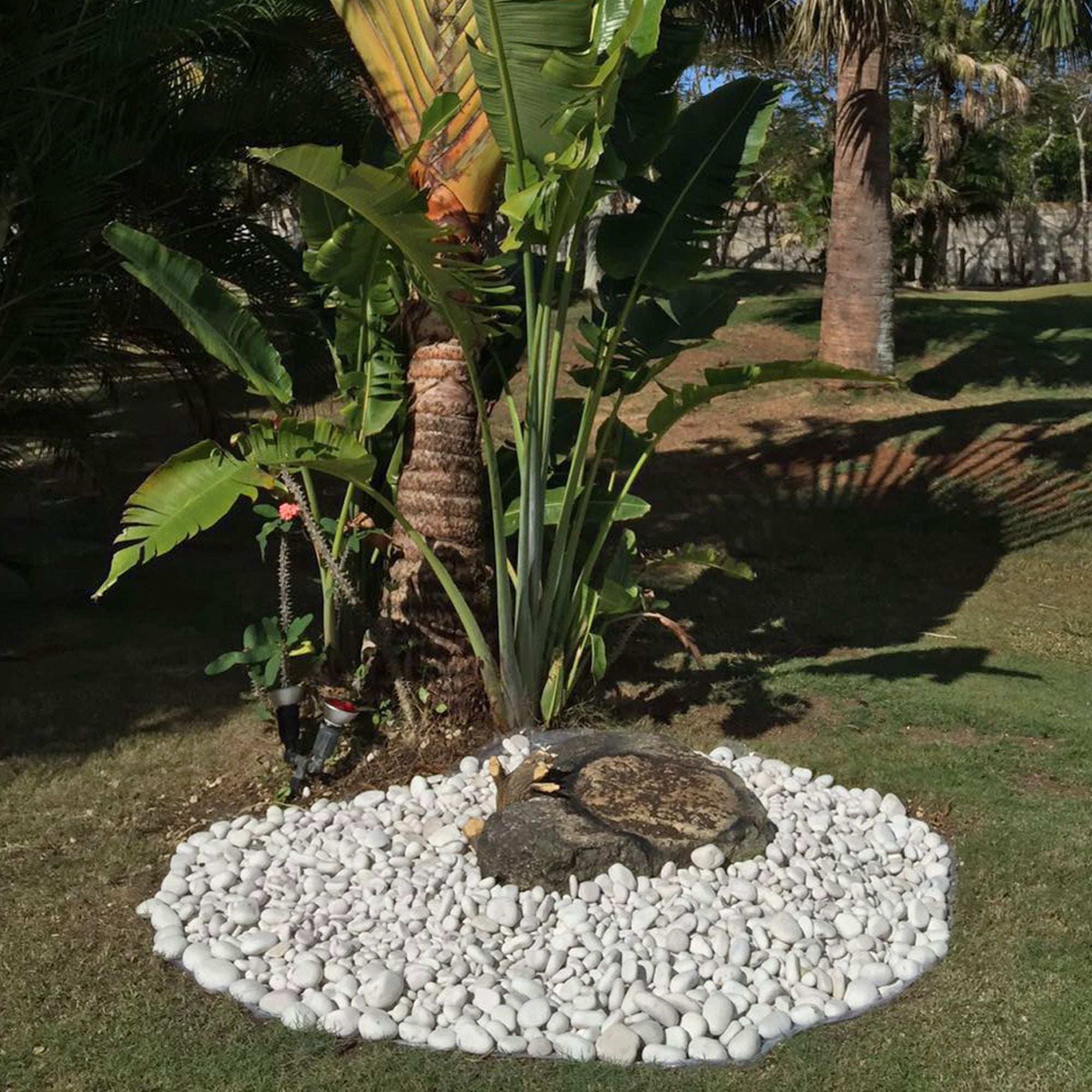 Rainforest, Outdoor Decorative Stones, Caribbean Beach Pebbles, White, 1-2", 1620lbs.