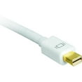 thumbnail image 3 of SIIG DisplayPort cable - 6.3 ft, 3 of 5