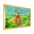 thumbnail image 2 of Designart 'Two Giraffes Fighting In Lush Green Wild' Farmhouse Framed Art Print, 2 of 4