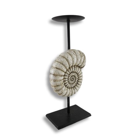 Ammonite Nautilus Shell Piller Candle Holder Stand