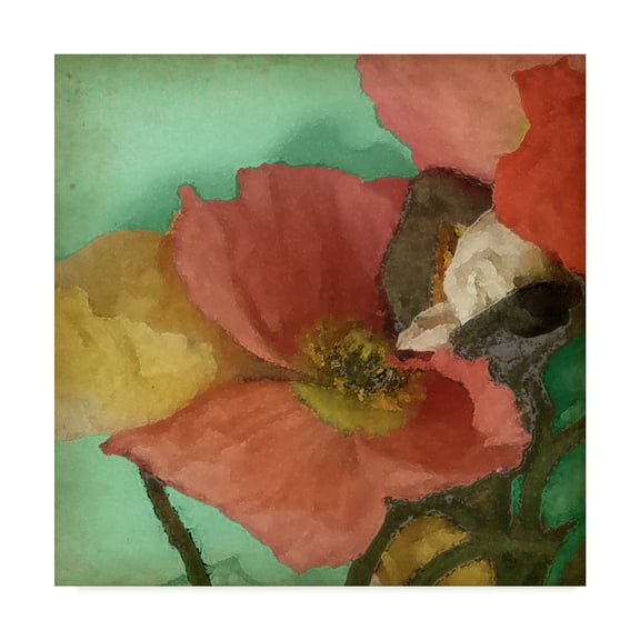 Trademark Fine Art 'Aquatic Poppies I' Canvas Art by Jennifer Goldberger