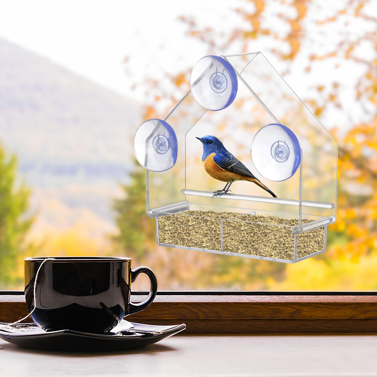Garden Viewing Window Hanging Bird Feeder Suction Cup Automatic Seeding Feed u
