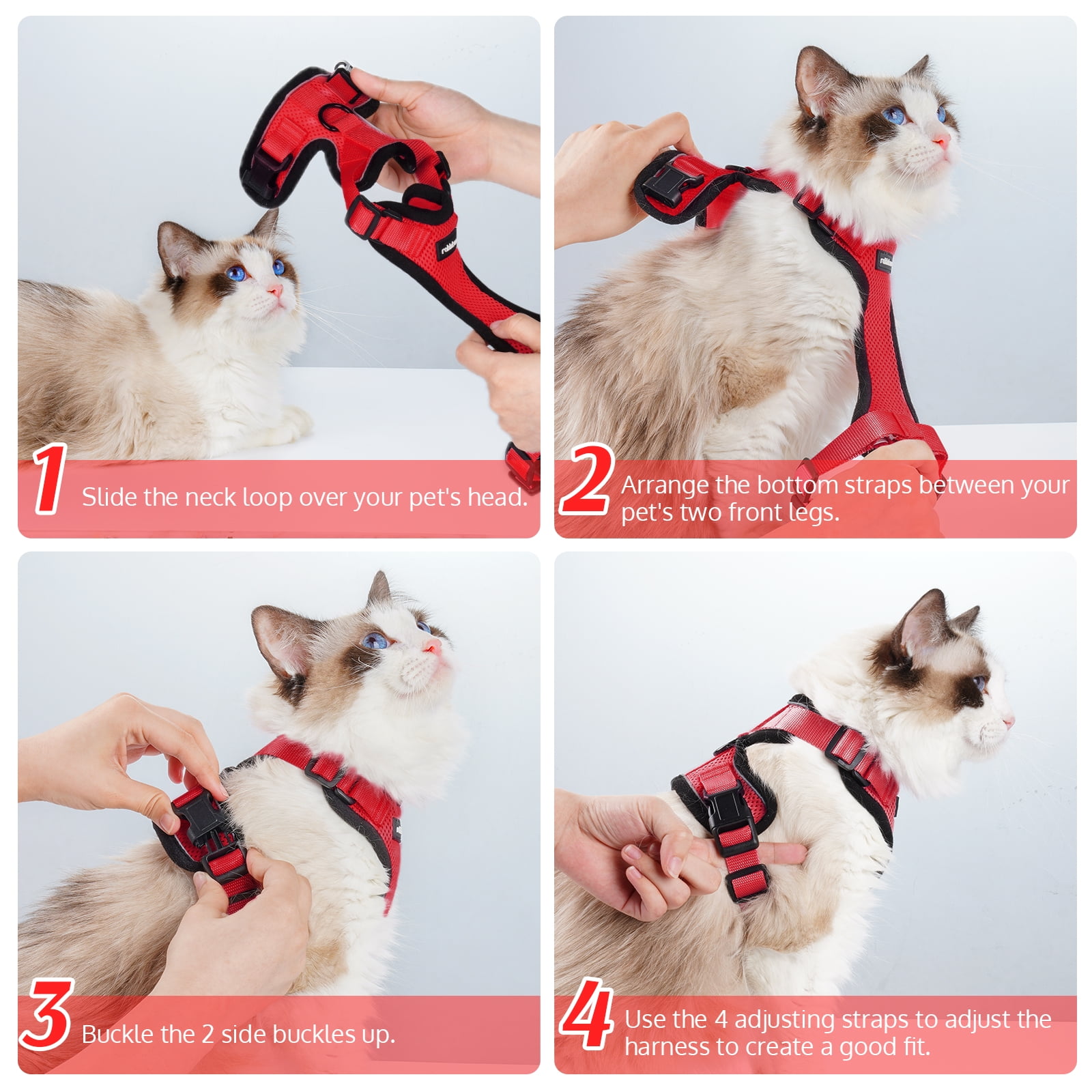 Harness Collar Whisker City Cat Harness How To Put On How To Put