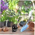 thumbnail image 4 of Black Plants 10pcs Air Plants Laminated Wedding Reception Balls Plastic Breeding Box Genitals Black Plants Root System Breeding Wedding Growing Balls Roots Tree Tree Root Growth Bow, 4 of 5