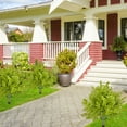 thumbnail image 4 of Rboles Topiarios Artificiales De Cedro, Plantas Artificiales Para Exterior, Arbustos Con Estacas, Dise O Duradero Y Resistente a Los Rayos Uv, Decoraci N Elegante, Para Porches, Decoraci N, 4 of 7