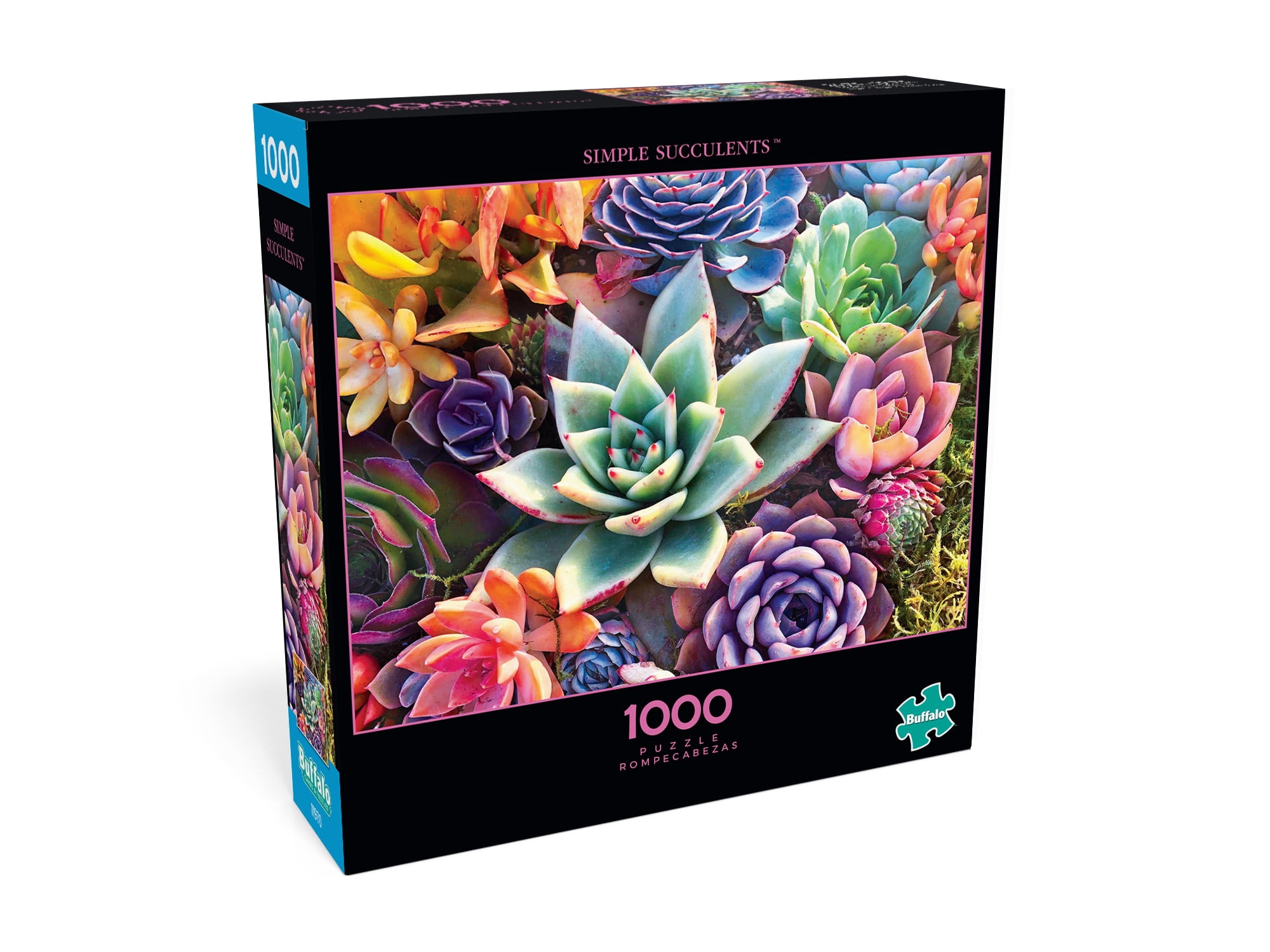 Buffalo Games - Photography - Simple Succulents - 1000 Piece Jigsaw Puzzle