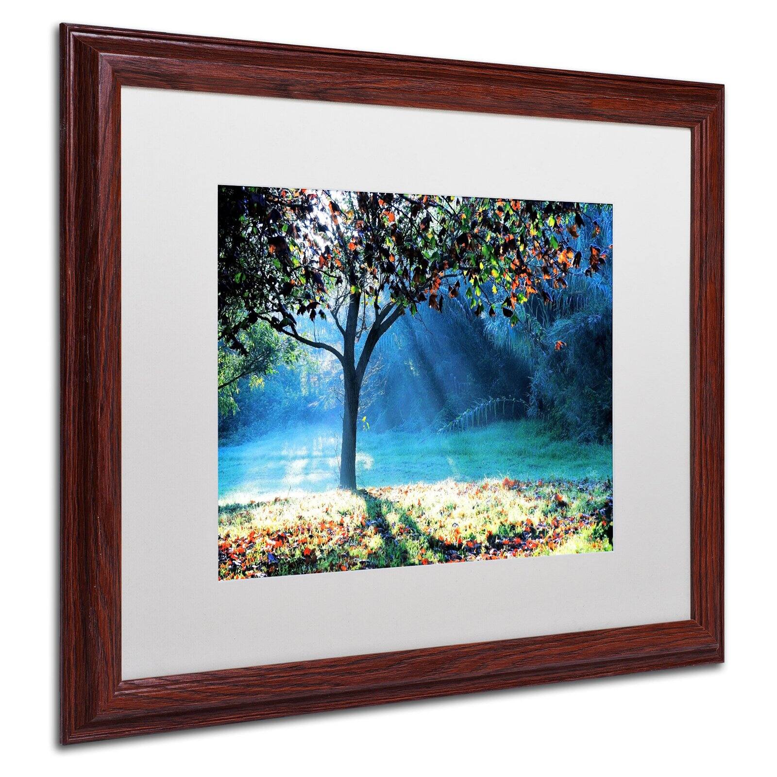 Trademark Fine Art "Rays of Hope" Canvas Art by Beata Czyzowska Young, Black Matte, Black Frame