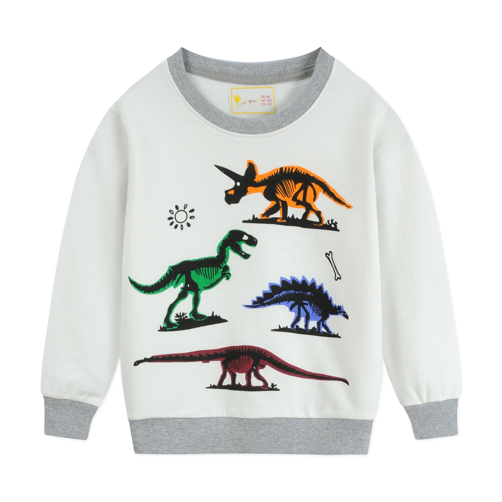 CM-Kid Toddler Boys Sweatshirts Long Sleeve Tops Dinosaur Shirt 4T ...