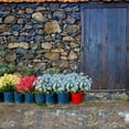 thumbnail image 3 of ZOELNIC 8 Bundles Artificial Daffodils Flowers Outdoor UV Resistant Spring Plants Faux Greenery for Garden Home Wedding Holiday Decor, Blue, 3 of 7