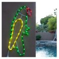 thumbnail image 4 of Drevy Ming's Mark Inc 8080123 Led Rope Light Parrot 18", 4 of 4