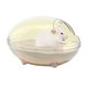 thumbnail image 1 of Baño de hámster Cupcakes transparente Chinchilla dinosaurio baño arena a prueba de salpicaduras bañera baño Electrónica, 1 of 5