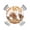 White Light Brown, variant on nqOlkjepod Welcome Fall Squirrel Round Tablecloth, Fitted Table Cover with Elastic for 36"-44" Round Tables, Thanksgiving Botanical Plaid Table Cloth Outdoor Dinning Party Waterproof Tablecloths