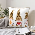 thumbnail image 6 of Zufioo Christmas Gnomes In Leopard Print Velvet Border Throw Pillow Cover, Zipper Throw Pillow Protector for Cushions Sofa Bedroom Home Decorations-20"x20", 6 of 8