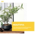 thumbnail image 4 of Succulent Planter Pot Ceramic Flowerpot Cactus Planting Pot Ivy Plants Pot, 4 of 6