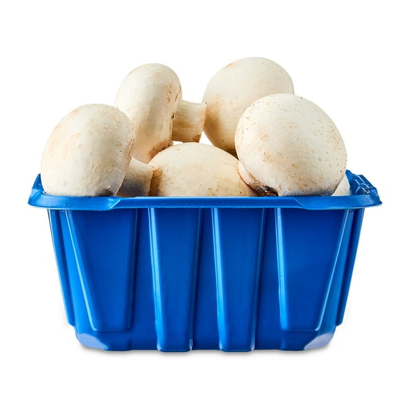 Fresh Whole White Mushrooms, 8 oz