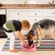 thumbnail image 5 of Tazón de alimentación lenta para perros, diseño antideslizante, alimentación interactiva divertida para perros, 5 of 5