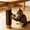 🔥 Brown_New, variant on onlyliua Trimmable Self-Adhesive Cat Scratch Mat For Furniture Walls Trees And Steps Durable Anti-Scratch Carpet Protector With Easy Cut-To-Size Installation For Sofas Chairs And Posts