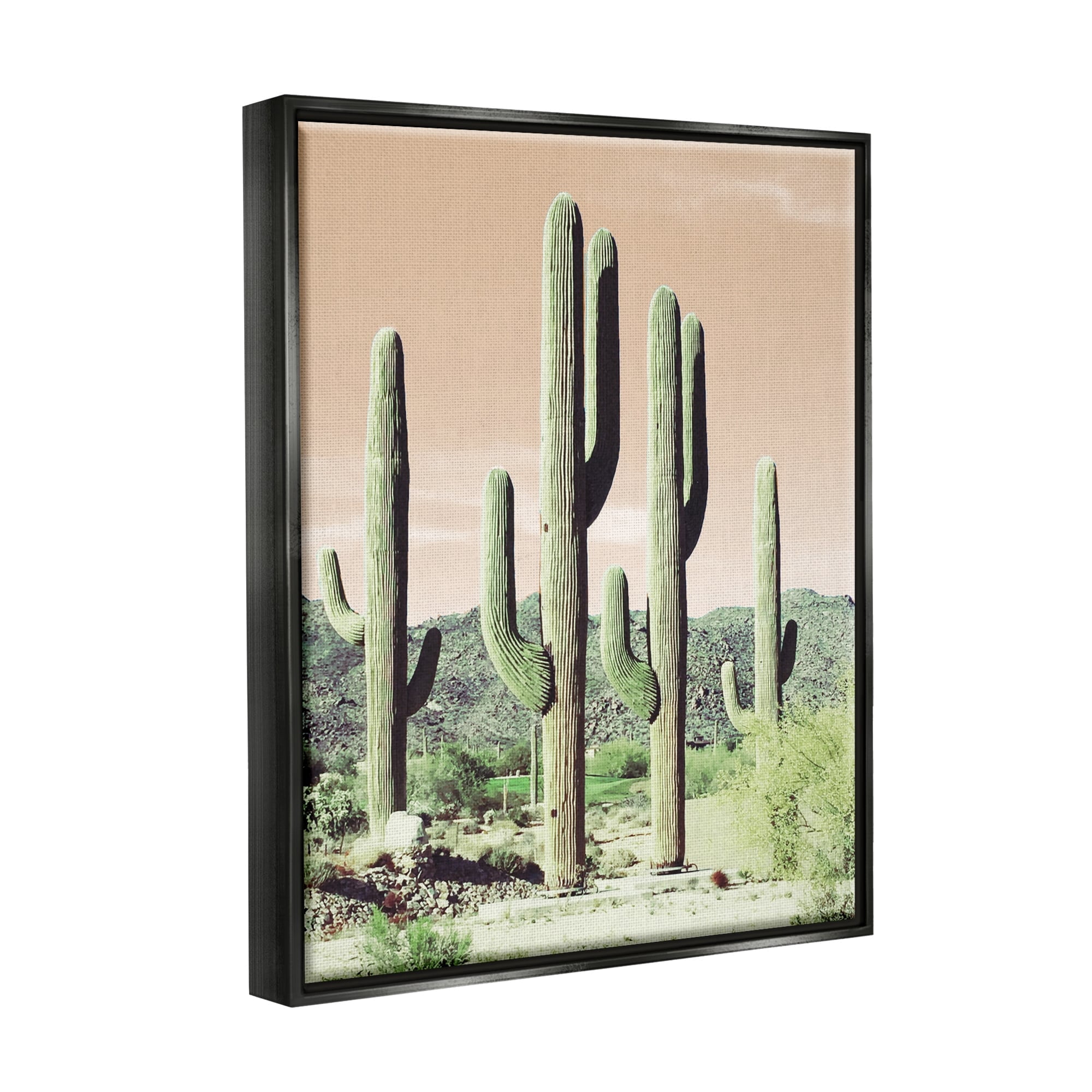Stupell Industries Towering Cactus Plants Arid Desert Vegetation Nature Photograph Metallic Gold Floating Framed Canvas Print Wall Art, Design by Susan Bryant