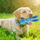 thumbnail image 5 of 1 unidad de juguete para perros con chirriador de látex, productos de entrenamiento para morder, juguetes chirriantes para cachorros, goma chirriante, 5 of 6