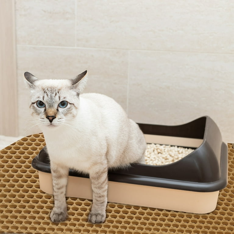 3 layer cat litter sales box