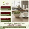 Organic Way Horsetail Herb Cut Sifted Equisetum Arvense USDA organic-way-horsetail-herb-cut-sifted-equisetum-arvense-usda