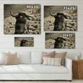 thumbnail image 4 of Designart 'Black and White Portrait Of A Spanish Bull II' Farmhouse Print on Natural Pine Wood, 4 of 5