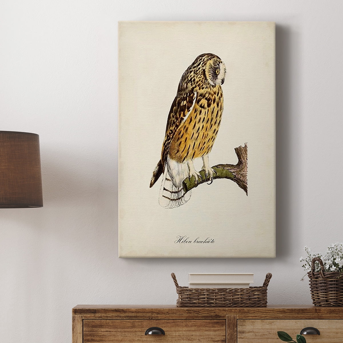 French Owls II Premium Gallery Wrapped Canvas - Ready to Hang