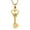 Gold, variant on Key Shape Cremation Urn Necklace for Ashes Key & Heart Cremation Necklace Stainless Steel Urn Jewelry for Human / Pet Ashes Memorial Jewelry Keepsake Gifts for Women Men