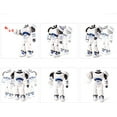 thumbnail image 4 of Intelligent remote control robot, 4 of 5