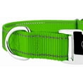 thumbnail image 5 of Country Brook Petz - Premium Hot Lime Green Reflective Nylon Dog Collar - Small, 5 of 5