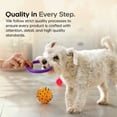 thumbnail image 5 of DNA PET Dental Powder for Dogs, Icelandic Kelp, Green Tea Enzymes, Astaxanthin, Mint Flavor, 2.12 oz, 5 of 14