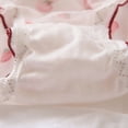 thumbnail image 6 of Lightweight Sweet Strawberry Patterned Sheer Mesh Briefs for Women Japanese Styles Ruffled Underwear Panties Hipsters, 6 of 9