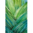 thumbnail image 2 of Wang, Melissa 17x24 Gold Ornate Wood Framed with Double Matting Museum Art Print Titled - Tropical Crop IV, 2 of 4
