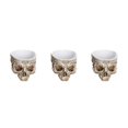 thumbnail image 4 of Billuyoard Macetas para suculentas con calavera, macetas artísticas y duraderas, maceta con cabeza de calavera, maceta con calavera M 4 Type1 NO1, 4 of 6