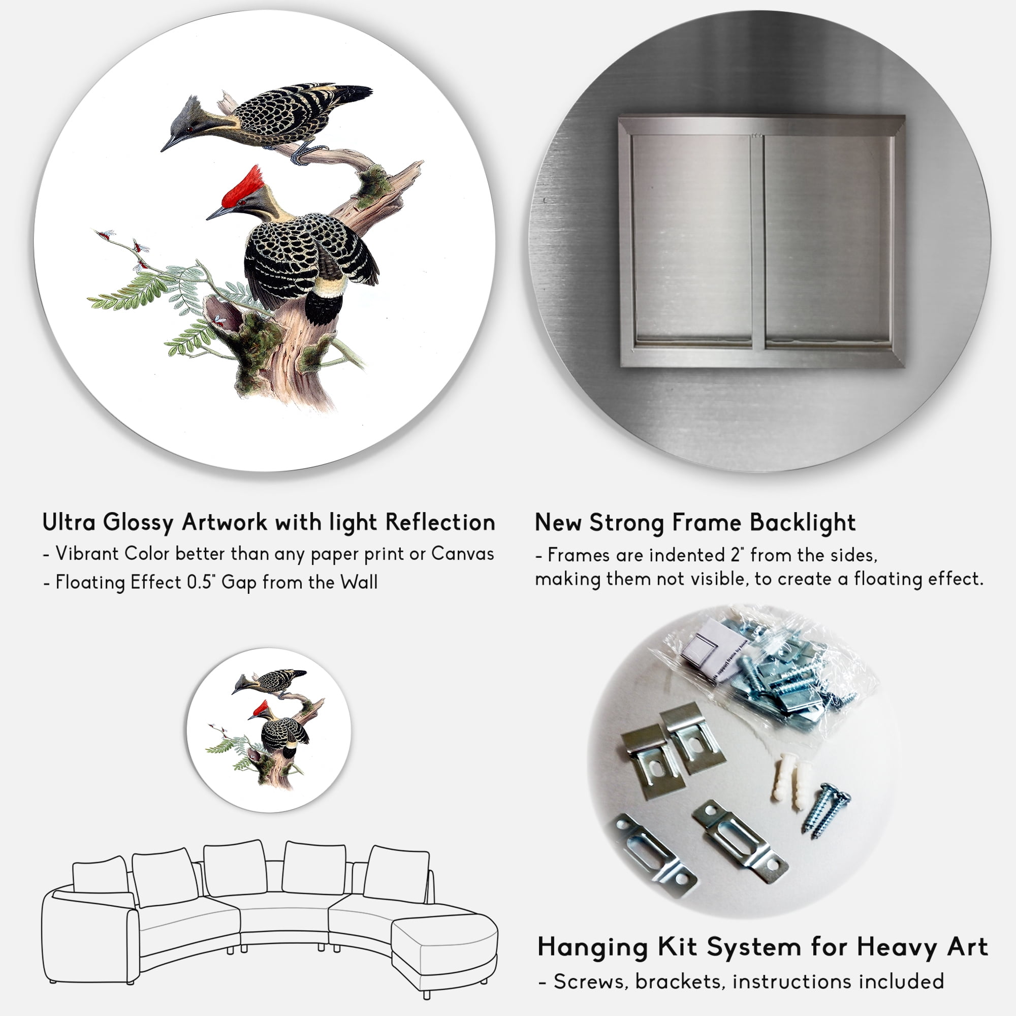 Designart 'Ancient Birds In The Wild VI' Traditional Circle Metal Wall Art 29x29 - Disc of 29