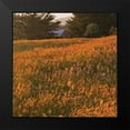 thumbnail image 2 of Crane, Rita 12x12 Black Modern Framed Museum Art Print Titled - Golden Fields III, 2 of 5